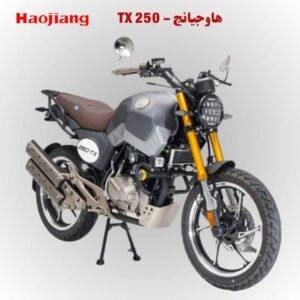 Home موتوسيكل هوجن tx250